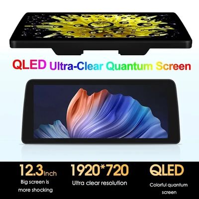 12.3'' QLED экран 4G LTE Wifi DSP Carplay Android Auto 2Din Автомобильное радио Для BMW/Benz/Audi Universal